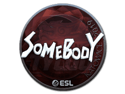 somebody (Foil) CS2 Sticker