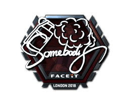 somebody (Foil) CS2 Sticker