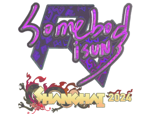 somebody (Holo) CS2 Sticker