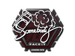 somebody CS2 Sticker