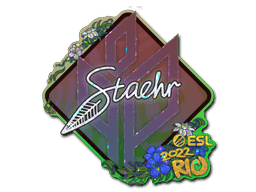 Staehr (Glitter) CS2 Sticker