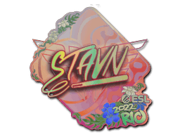 stavn (Holo) CS2 Sticker