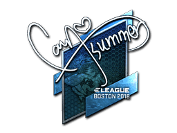 Summer (Foil) CS2 Sticker