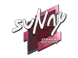 suNny CS2 Sticker