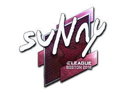 suNny (Foil) CS2 Sticker