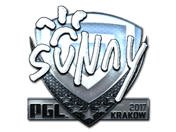 suNny (Foil) CS2 Sticker