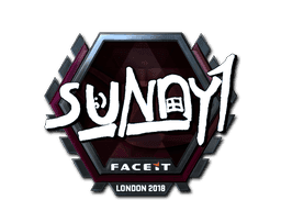 suNny (Foil) CS2 Sticker