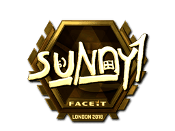 suNny (Gold) CS2 Sticker