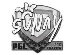 suNny CS2 Sticker