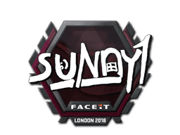 suNny CS2 Sticker