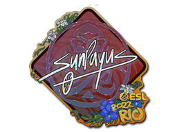 SunPayus (Glitter) CS2 Sticker