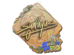 SunPayus (Holo) CS2 Sticker
