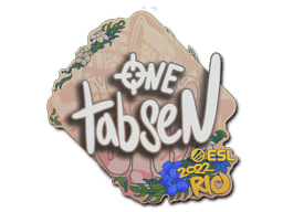 tabseN CS2 Sticker