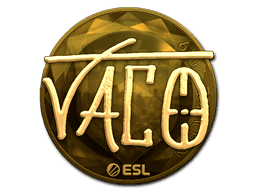 TACO (Gold) CS2 Sticker
