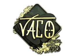 TACO (Gold) CS2 Sticker