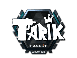 tarik (Foil) CS2 Sticker