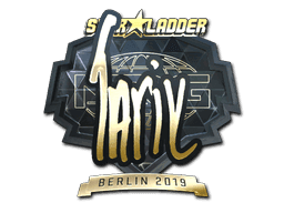 tarik (Gold) CS2 Sticker