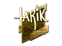 tarik (Gold) CS2 Sticker