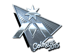 Team Immunity (Foil) CS2 Sticker