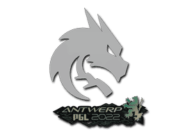 Team Spirit CS2 Sticker