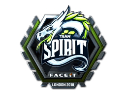 Team Spirit (Foil) CS2 Sticker