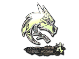 Team Spirit (Holo) CS2 Sticker