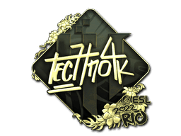 Techno4K (Gold) CS2 Sticker