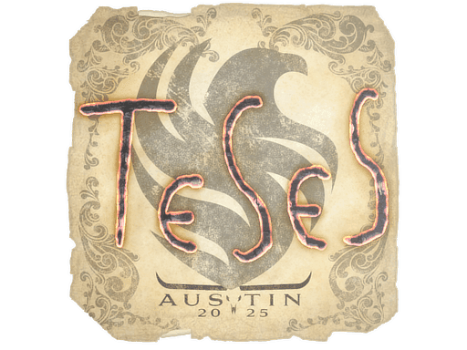 TeSeS CS2 Sticker