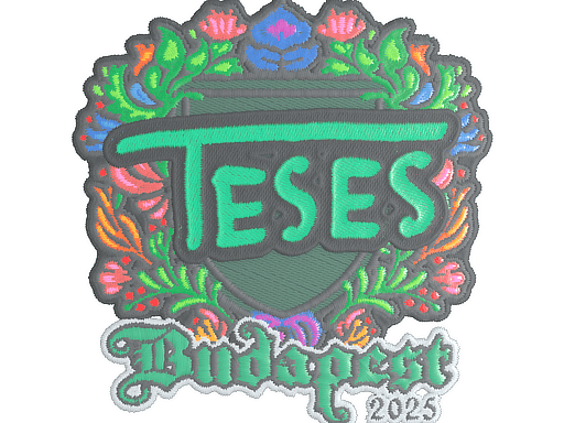 TeSeS (Embroidered) CS2 Sticker