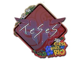 TeSeS (Glitter) CS2 Sticker