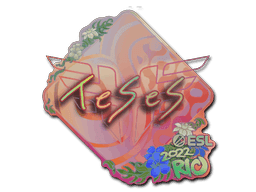 TeSeS (Holo) CS2 Sticker