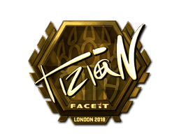 tiziaN (Gold) CS2 Sticker