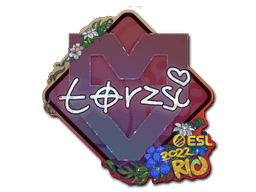 torzsi (Glitter) CS2 Sticker