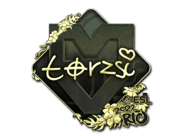 torzsi (Gold) CS2 Sticker