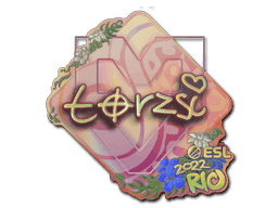 torzsi (Holo) CS2 Sticker