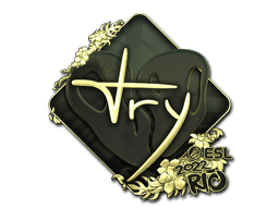 TRY (Gold) CS2 Sticker