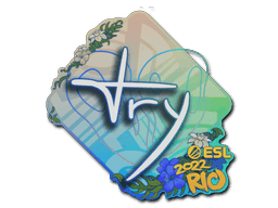 TRY CS2 Sticker