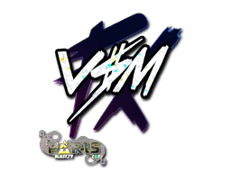 v$m (Glitter) CS2 Sticker