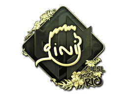 VINI (Gold) CS2 Sticker