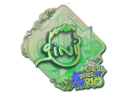 VINI (Holo) CS2 Sticker