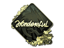 w0nderful (Gold) CS2 Sticker