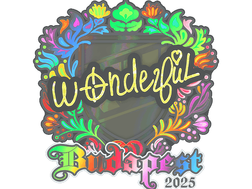 w0nderful (Holo) CS2 Sticker