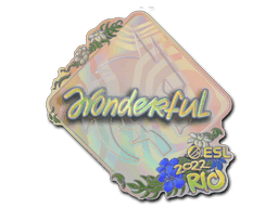 w0nderful (Holo) CS2 Sticker