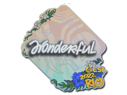 w0nderful CS2 Sticker