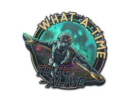 Wingsuit (Holo) CS2 Sticker