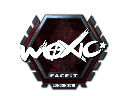 woxic (Foil) CS2 Sticker