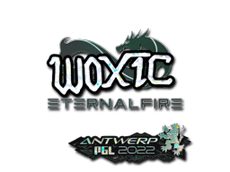 woxic (Glitter) CS2 Sticker