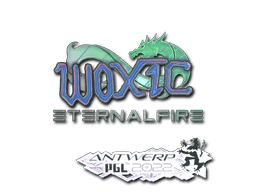 woxic (Holo) CS2 Sticker