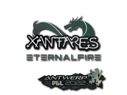 XANTARES CS2 Sticker