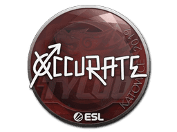 xccurate CS2 Sticker